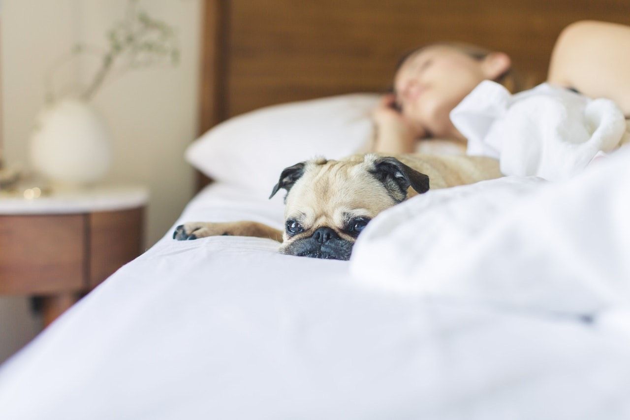 Mattress Qualities That Help with Back Pain