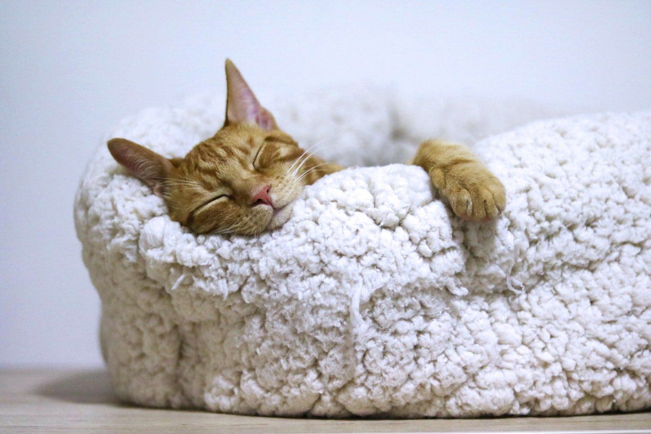 Reasons Why Better Sleep Will Change Your Life